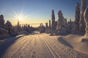 Lapland Winter Holiday