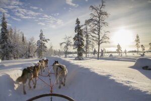 Lapland Winter Holiday