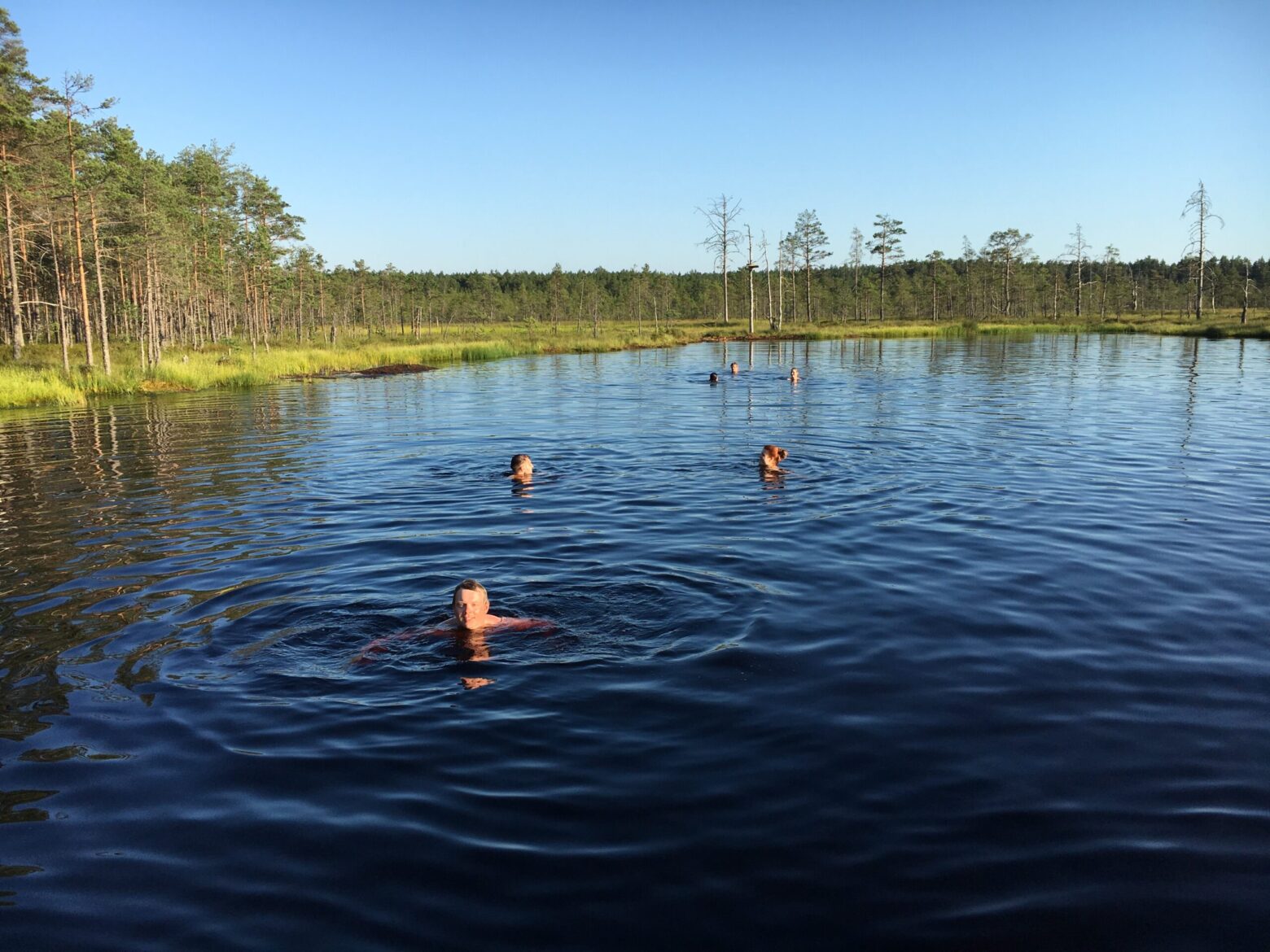 Lahemaa-national-park-estonia-bog-swimming