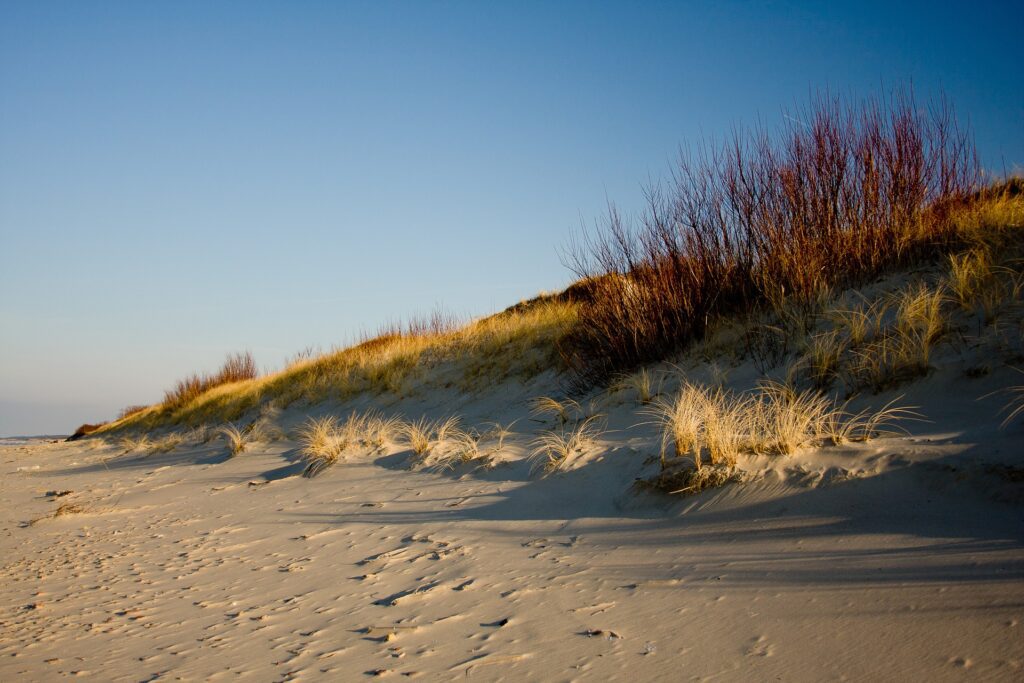 curonian-spit-beach