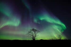 nature, northern lights, night-4900611.jpg