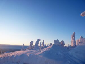 finland, snow, lapland-209477.jpg