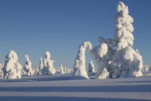 lapland-winter-tour