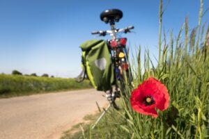 biking, poppy, leisure time