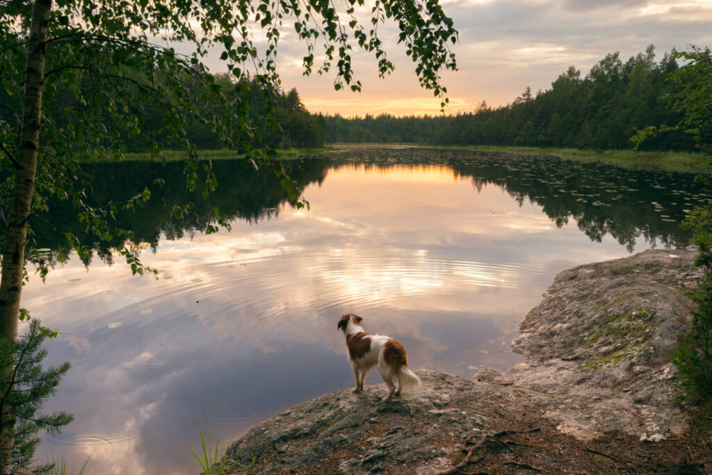 Nuuksio-National-Park