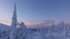 finland-winter-snow