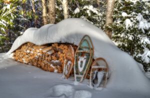 Snowshoeing-tour