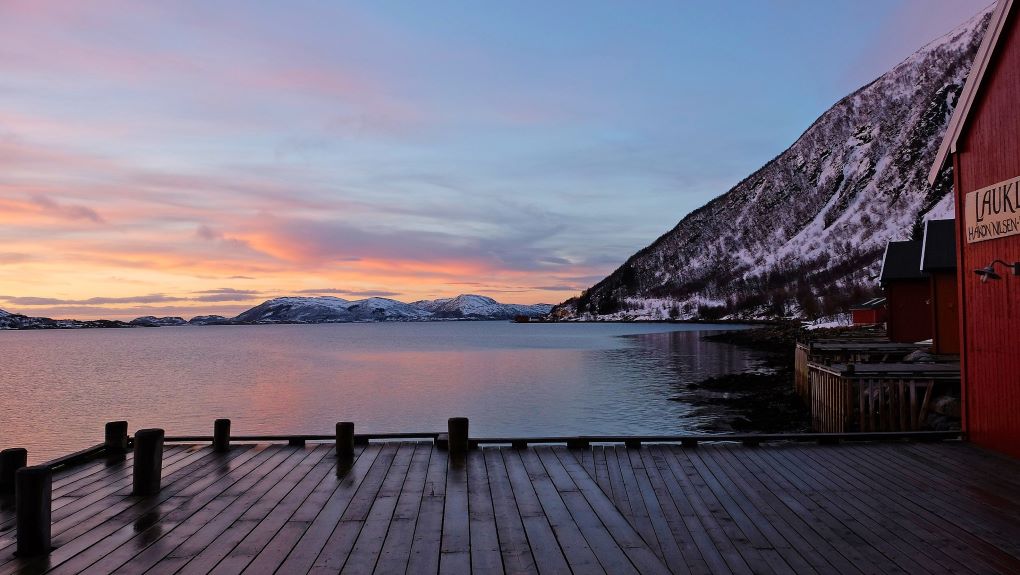 Tromso-fjord-tour