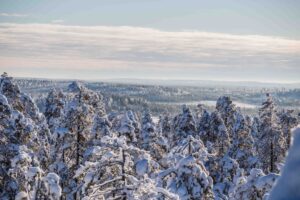 wilderness-views-levi-lapland-beyond-arctic