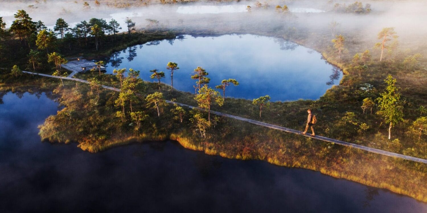 bog-hiking-tour-baltics