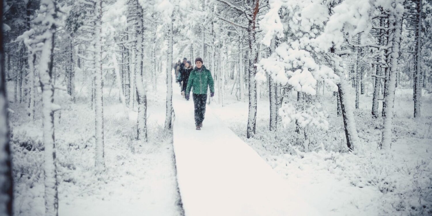 Estonia-winter-walk-tour Estonia-winter-walk-tour