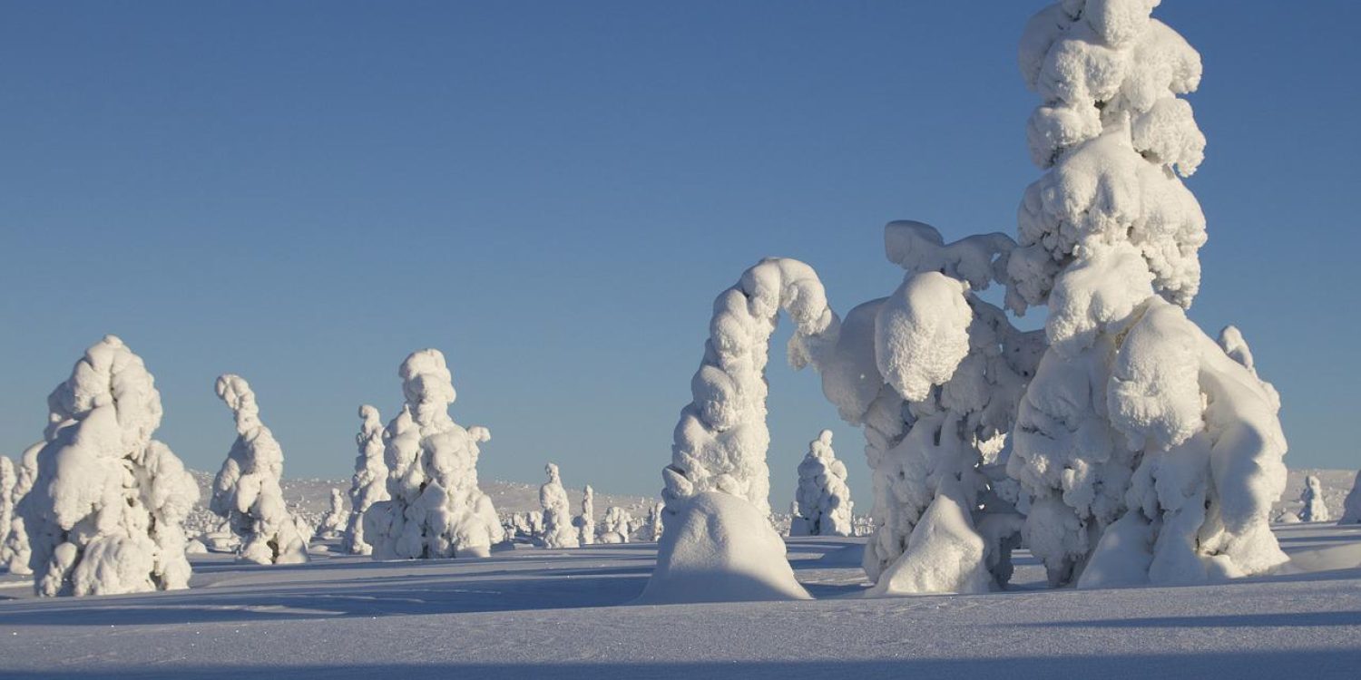 lapland-winter-tour